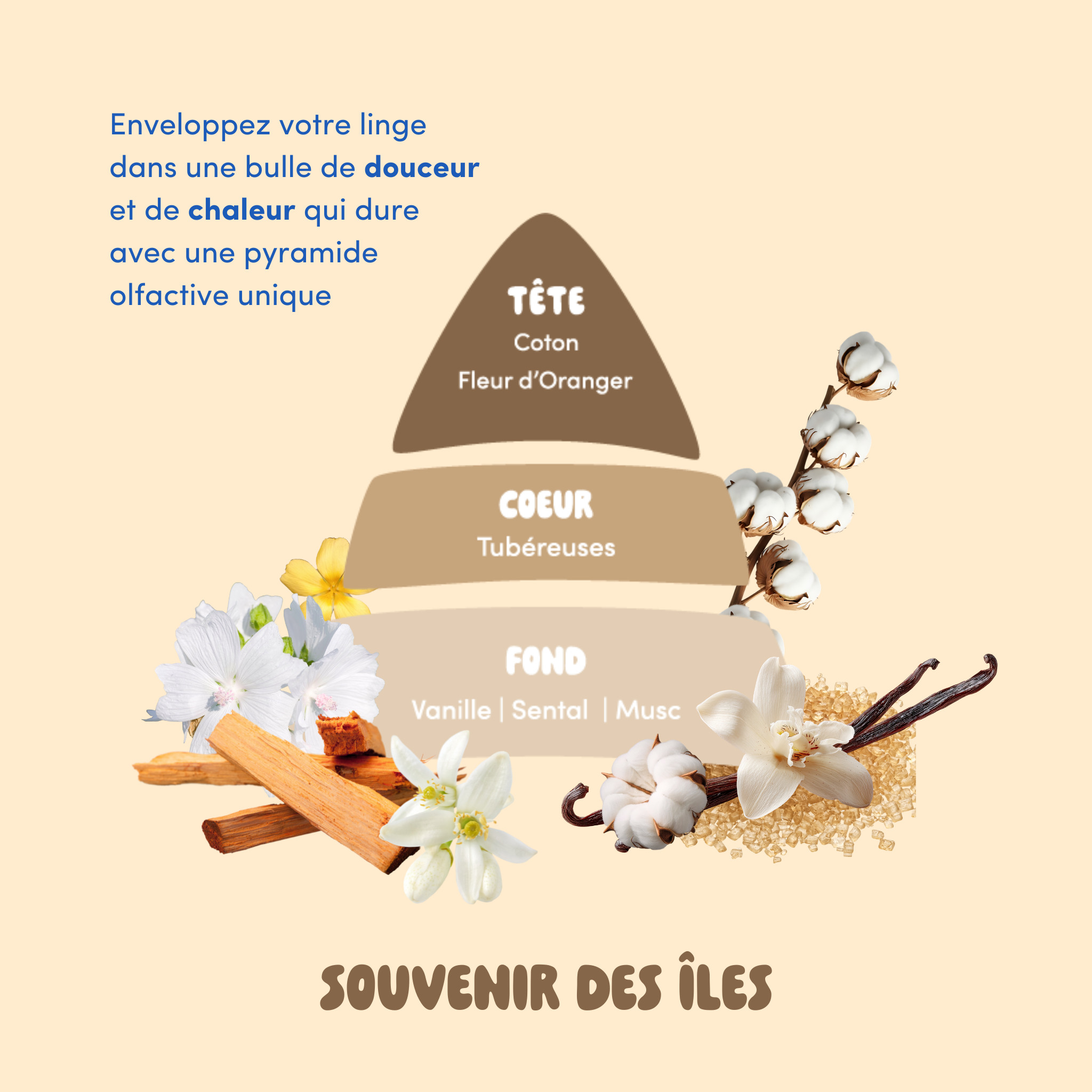 Parfum de lessive : Souvenir des îles
