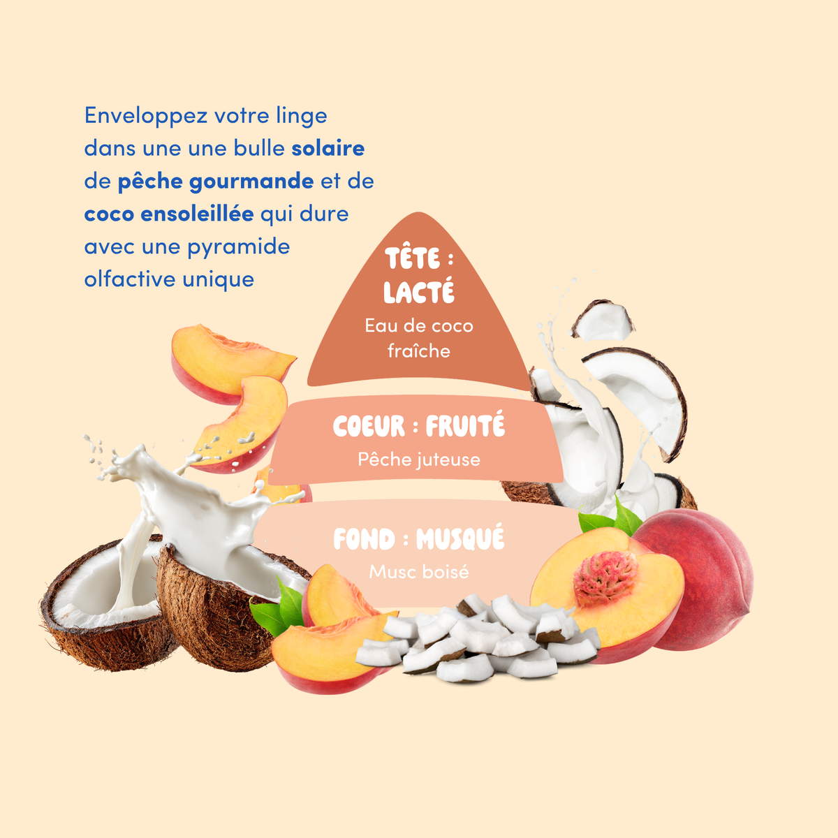 Pyramide olfactive Saintropêche - eau de coco, pêche, musc boisé