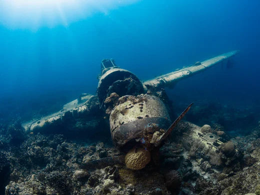 Sauvons nos océans : la biodiversité en péril face à la pollution de l'eau !