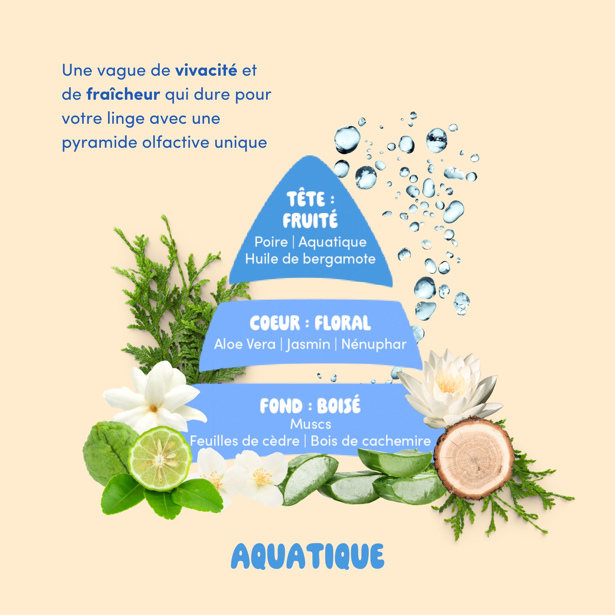 [NOUVEAU] Parfum de lessive : Aquatique