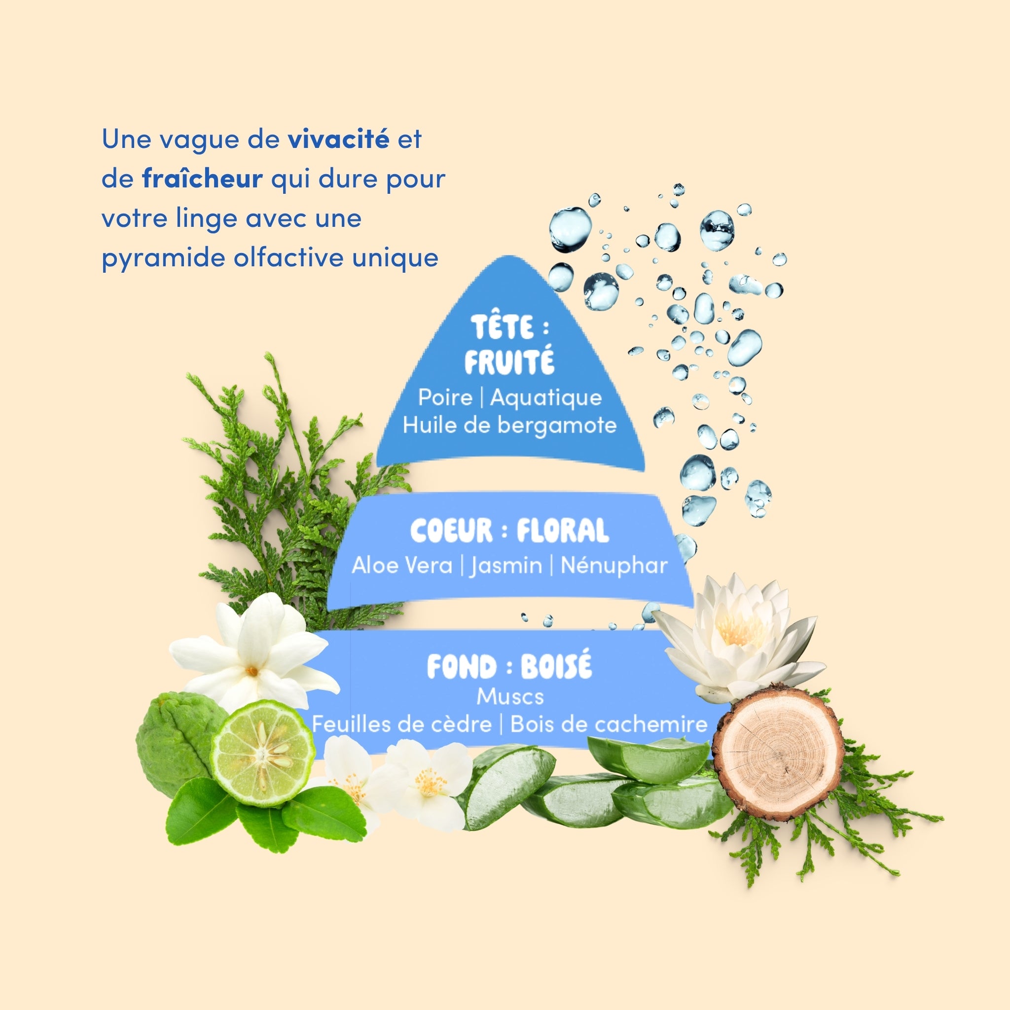 [NOUVEAU] Parfum de lessive : Aquatique (TEST MARC)e