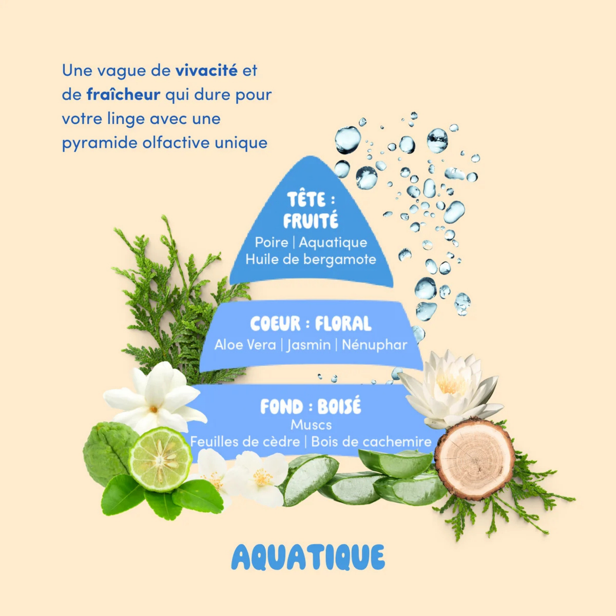 Kit Découverte Parfums – vue 4